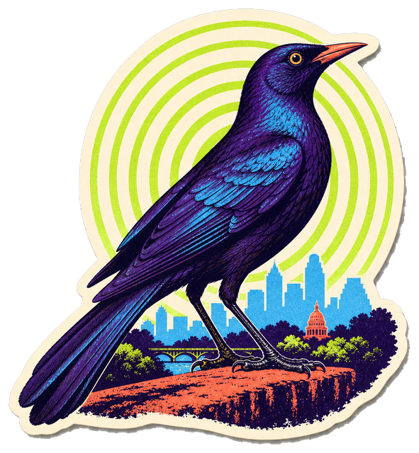 Drop 001 artwork: a great-tailed grackle, artist-created Austin work